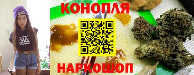 гидра Тулун