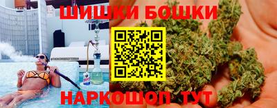 СК Тула
