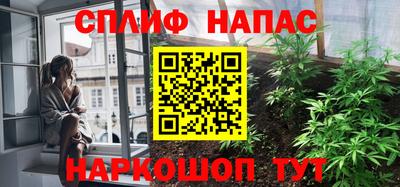 гидра Тара